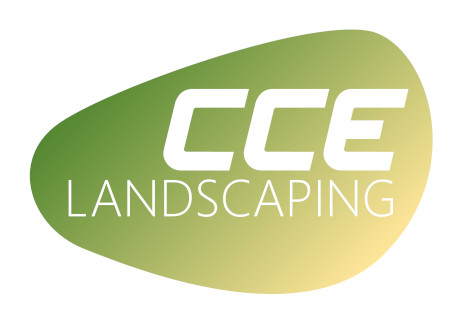 Clementi Logo